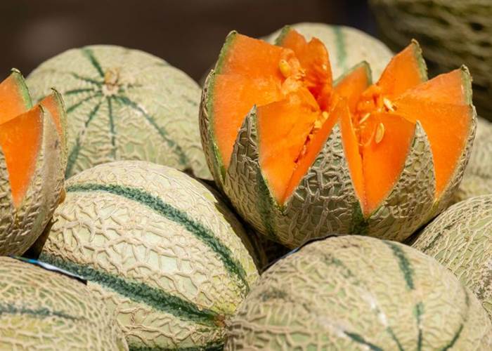 fruits-saison-local-bio