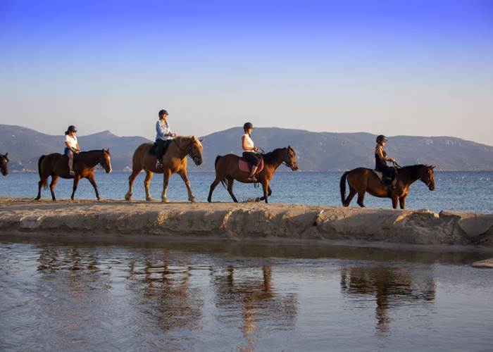 CENTRE EQUESTRE ÉCURIE LE GOLFE 0631922993