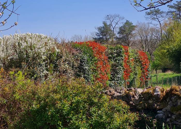 Dordogne. Le champ de l'Hoste. Printemps.