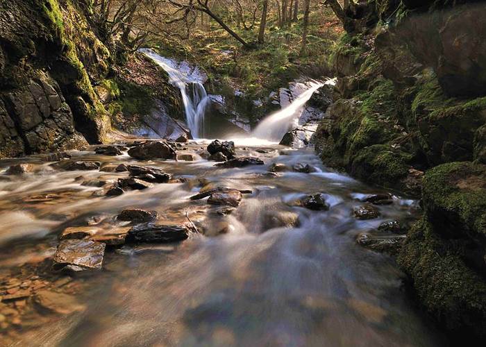 BIT_0005-_6238_-1-0005[1]