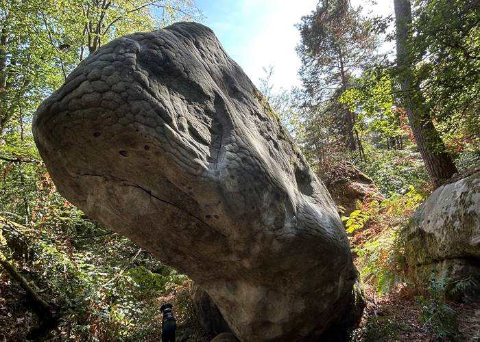 La Belette/ Mont Ussy Est