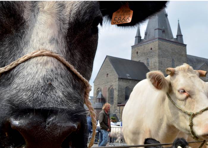 Foire agricole