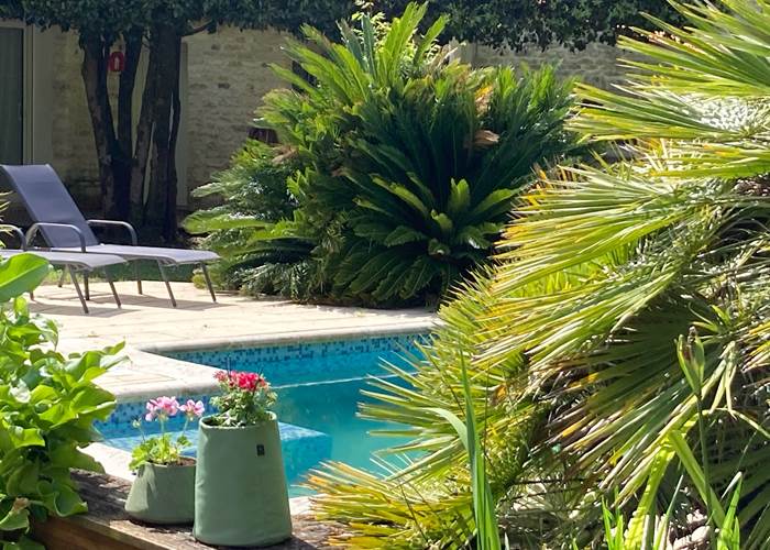 Sans titre