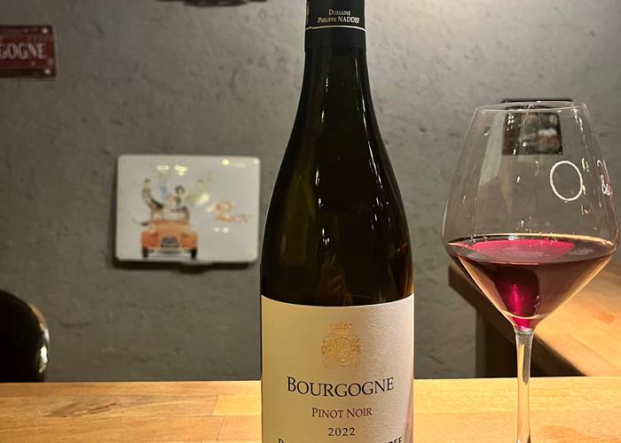 Bourgogne pinot noir