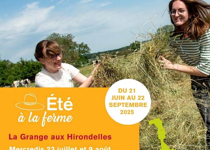 Sans titre
