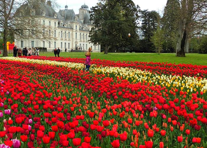 Cheverny