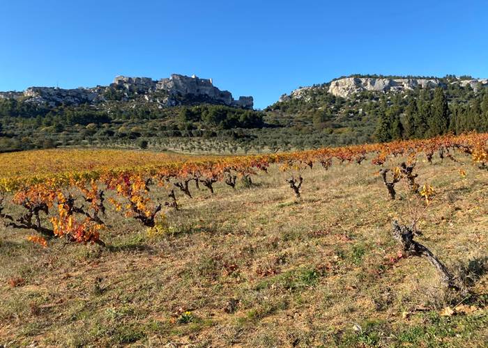 Vins des Alpilles