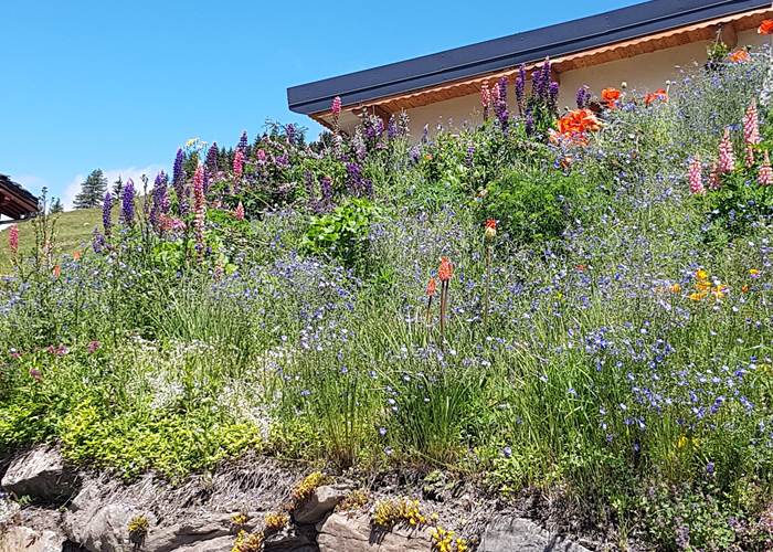 fleurs devant le chalet