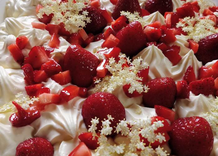 Tiramisu au coulis fraise/sureau et fraises fraîches