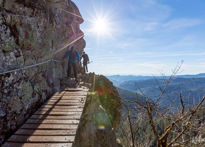 Sentier des Roches, Vosges-page