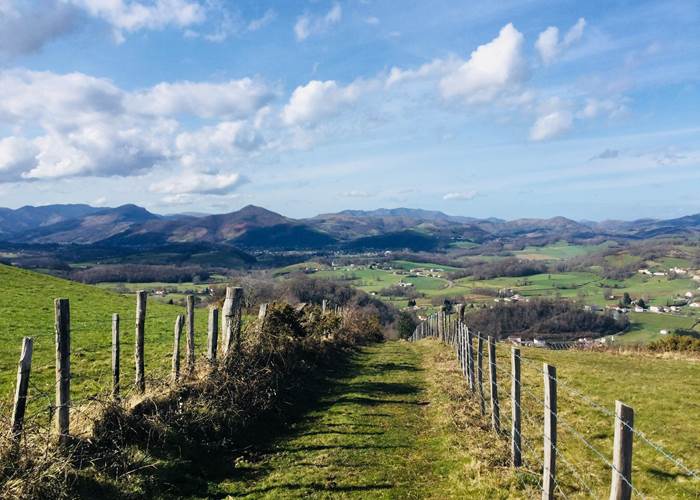 65 rando 64 chiens admis