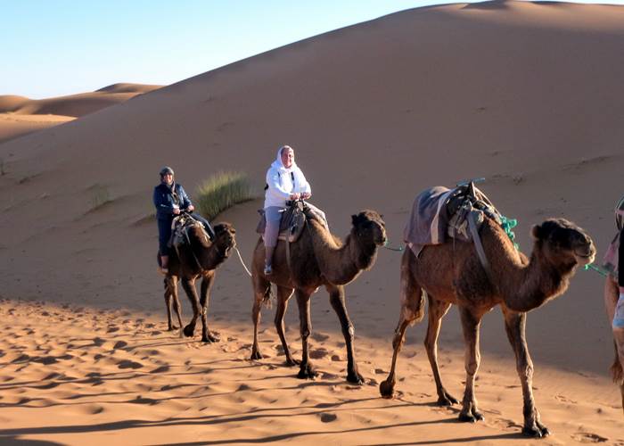 Randonnée chamelière