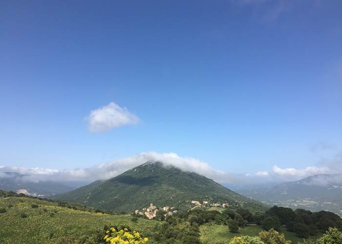 #Arbellara #Corse-du-Sud
