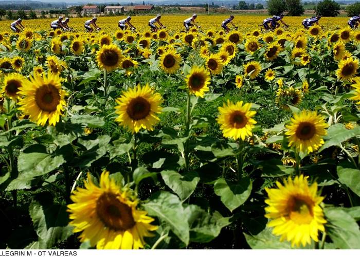 Nature et Sport.Copyright.176--PELLEGRIN_M_-_OT_VALREAS-800px