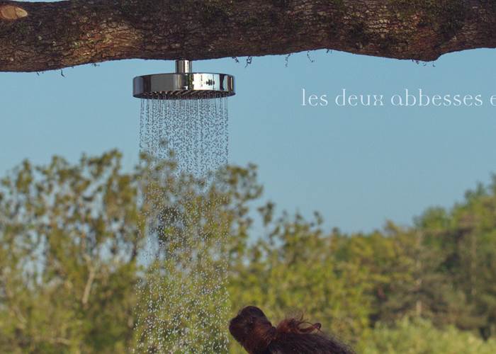 Douche chaude nichée dans un arbre