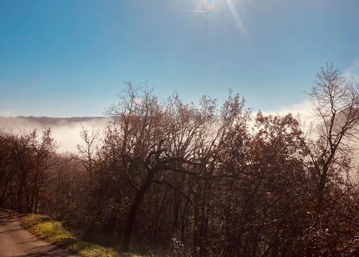Journée d'hiver sous le soleil