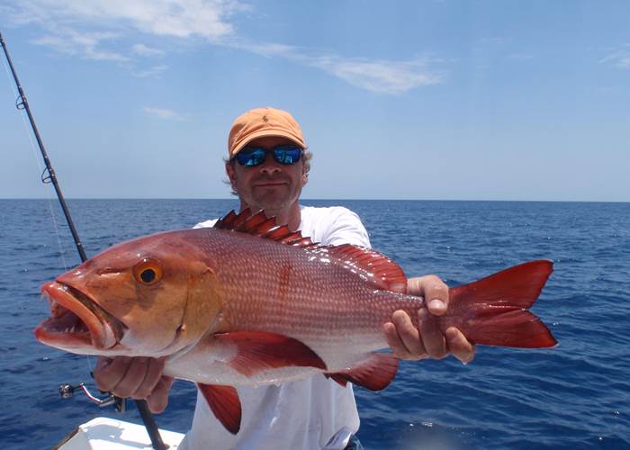La pêche au gros