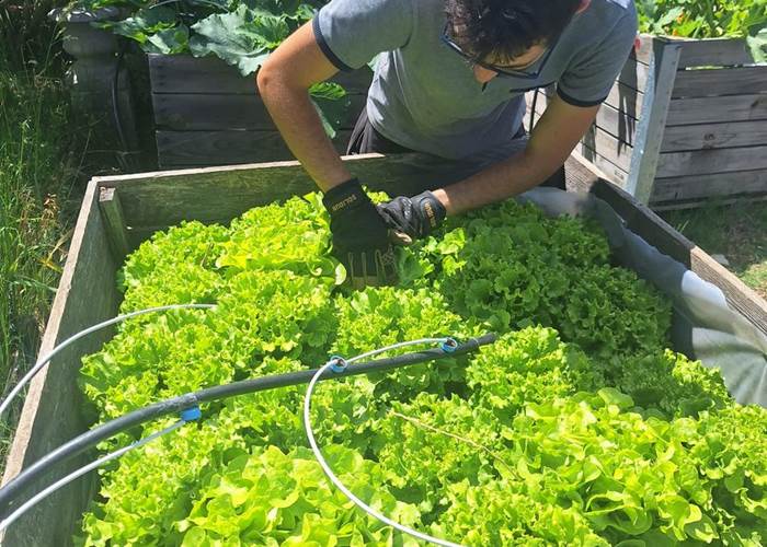 Verger et potager bio