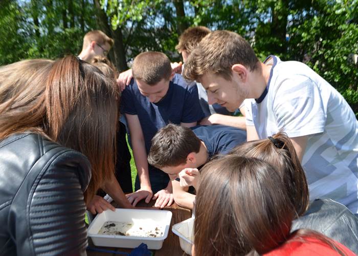 sensibilisation-environnement