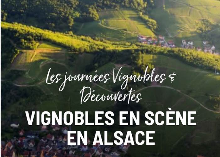 Sans titre