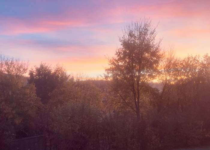 vue-campagne-parc-de-la-canner-domaine-des-droles-de-dames-buding.jpg Vue sur la campagne autour du Parc de la Canner, à proximité du Domaine des Drôles de Dames