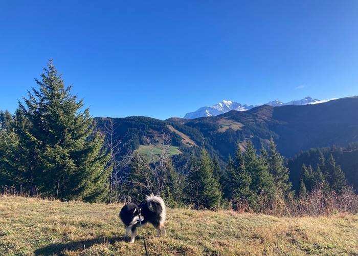 Randonnée en novembre