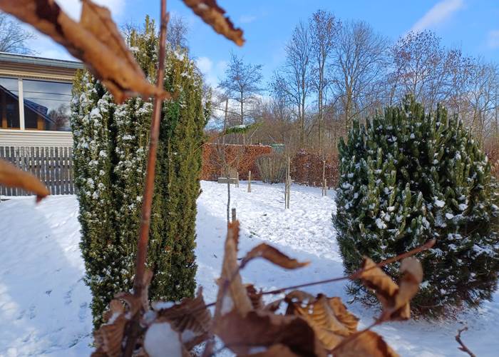 Quel beau jardin, tout blanc !