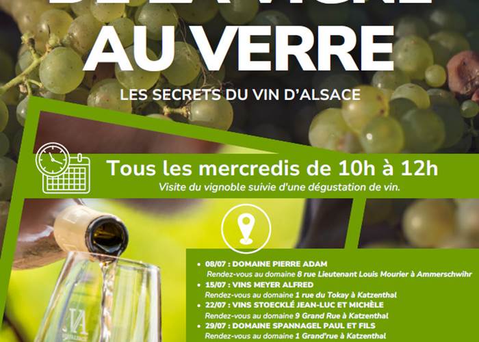 Affiche de la vigne au verre