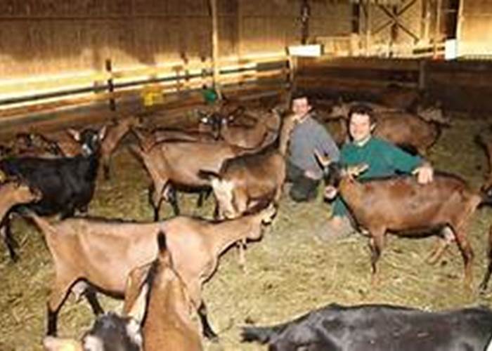 La ferme de la Tibauderie