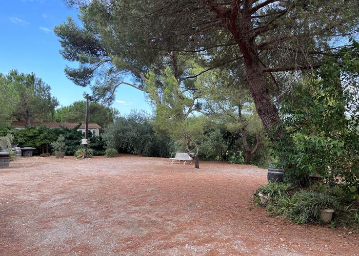 Espace Camping-car à l'ombre des pins, vue sur vignoble