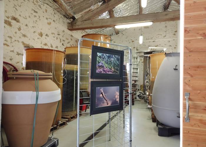 Expostion du club photos de Mailhac