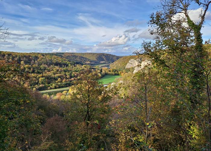 La Meuse vers Freÿr en automne