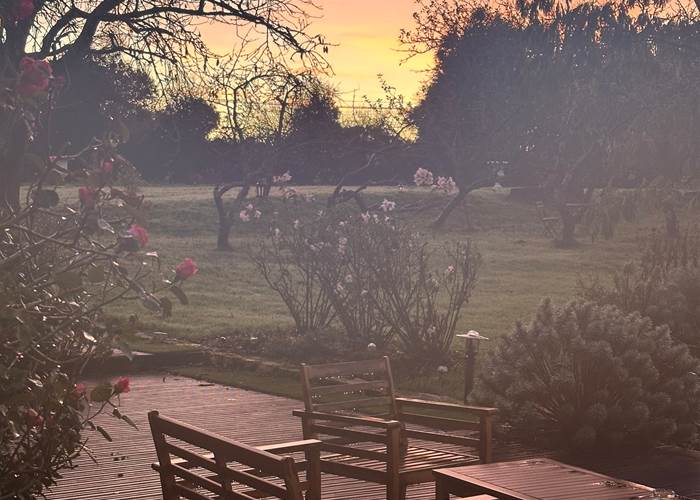 lever de soleil sur le parc