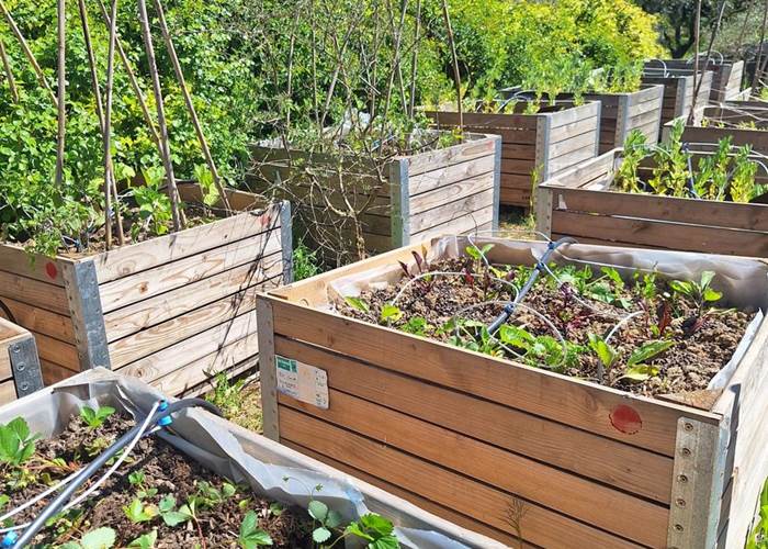 Verger et potager bio