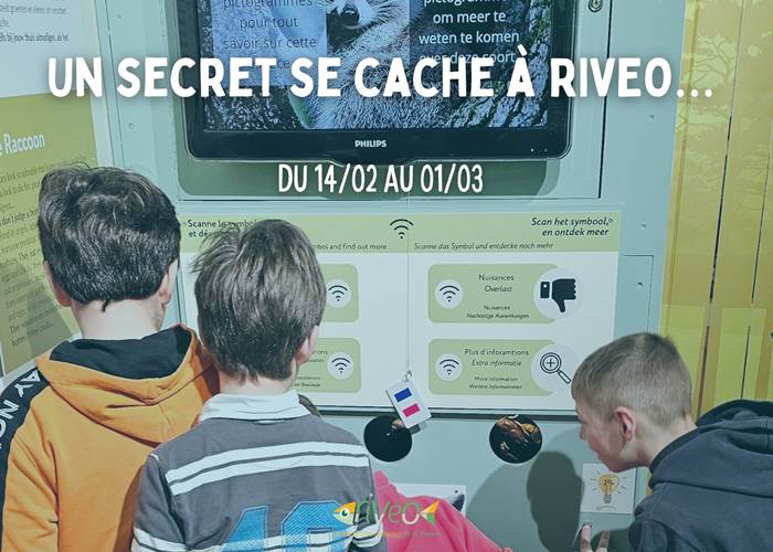 activite-famille-vacance-scolaire-wallonie