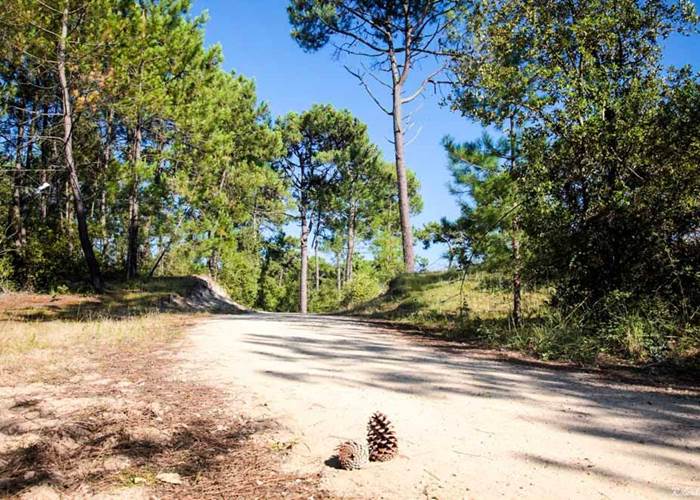 Saint Jean de Monts