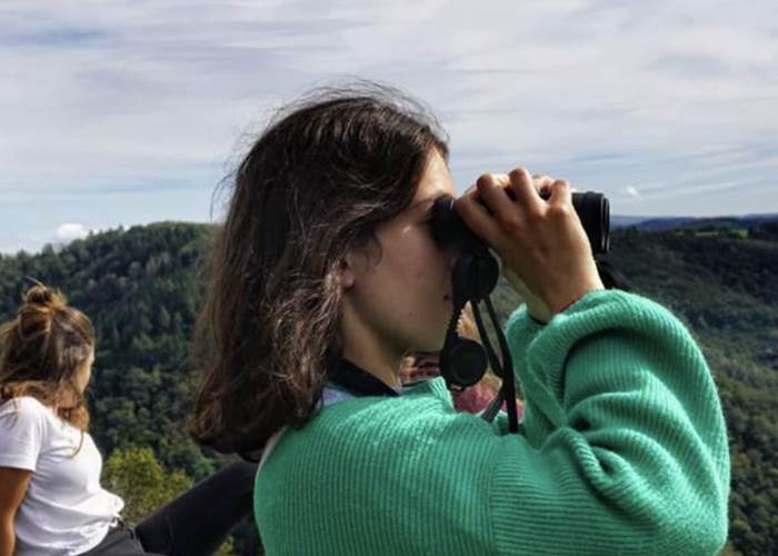 Observation ornithologique