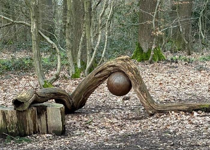 Parcours artistique dans les bois