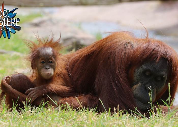 Zoo de la Boissière du Doré
