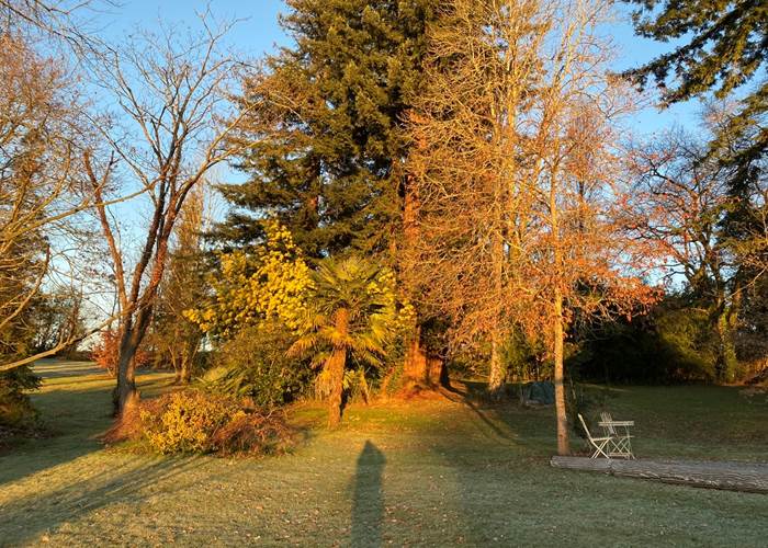 Vue du parc un matin d'hiver