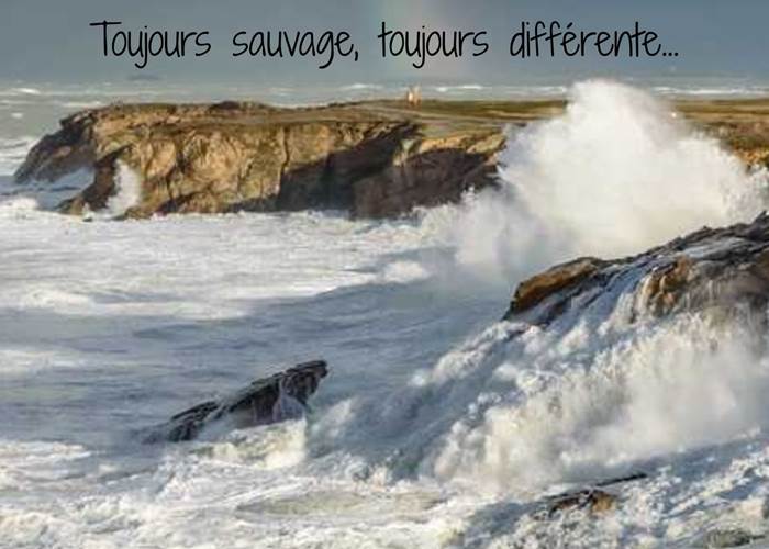 Côte sauvage - Saint Pierre Quiberon-news
