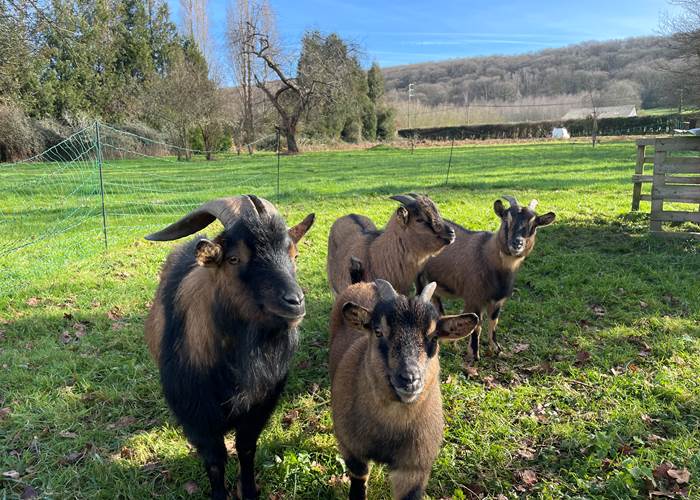 La Famille au complet