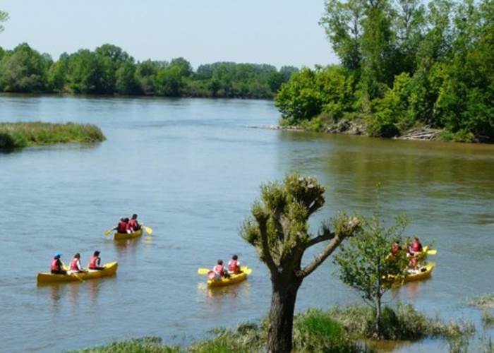 Canoë Kayak à Saint Satur