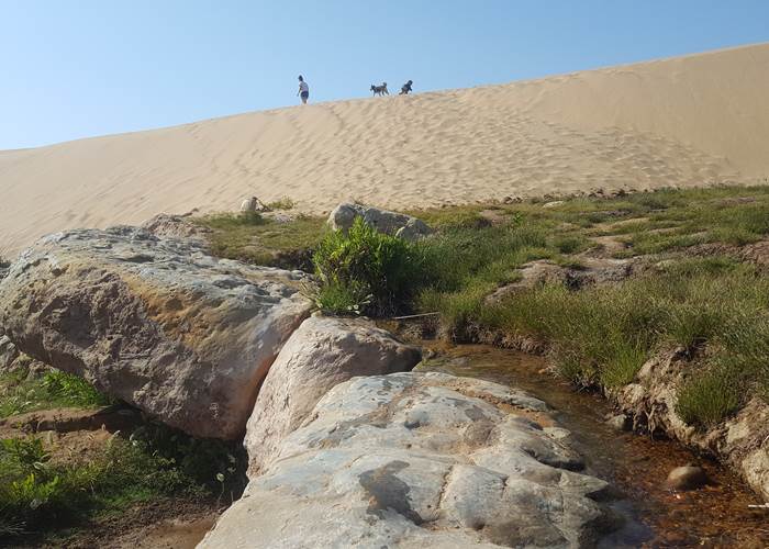 Riad Baoussala - promenade à la cascade de Sidi Mbark
