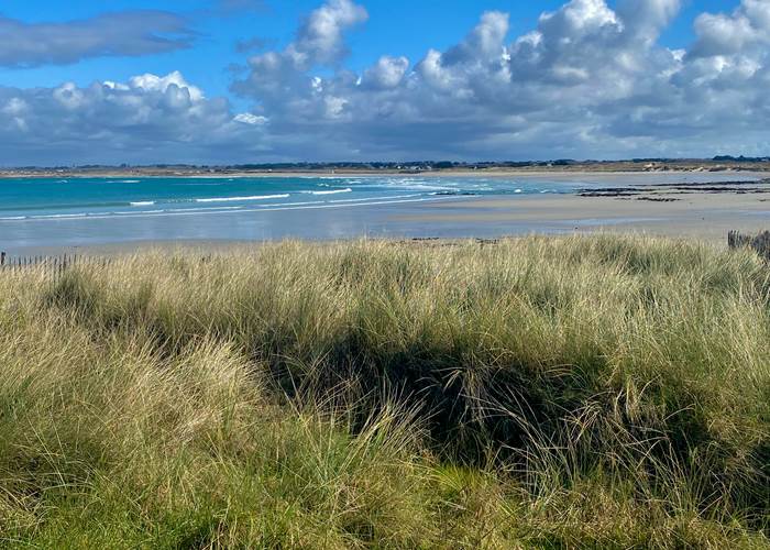 93F81B2F-48D6-4DFE-95D6-DEF40413DE68