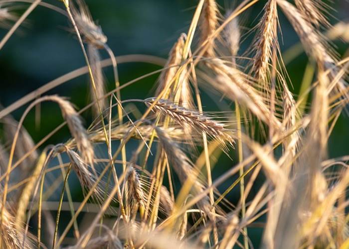 Rencontre avec la filière bio