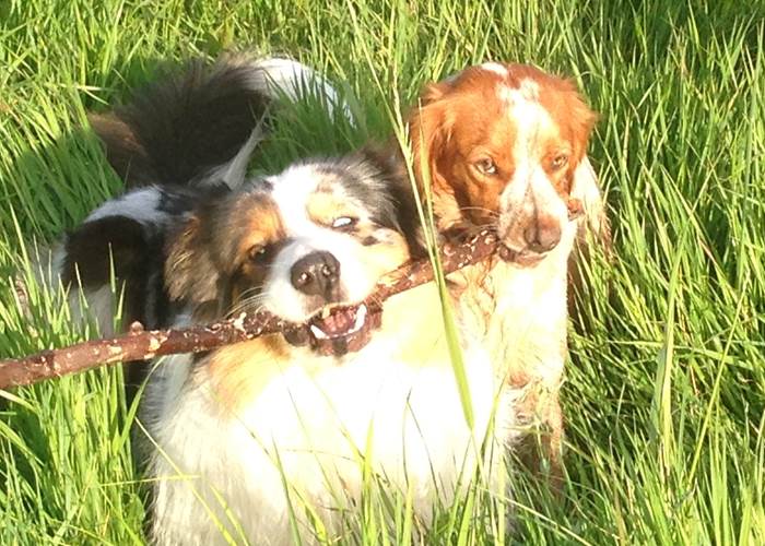 Hutch et Indy