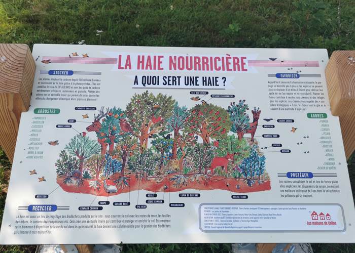 Le jardin-forêt une refuge de biodiversité