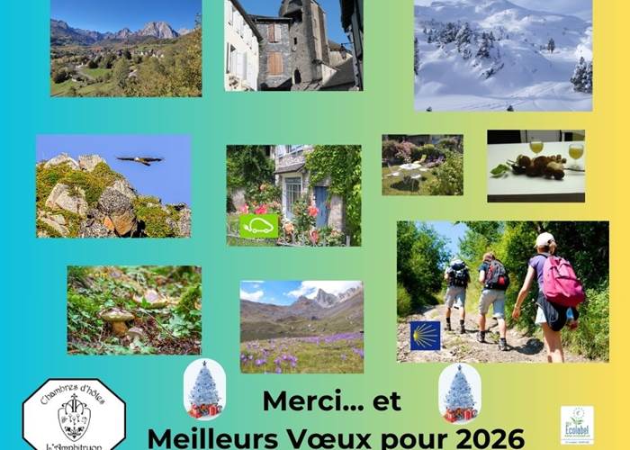 Voeux 2026