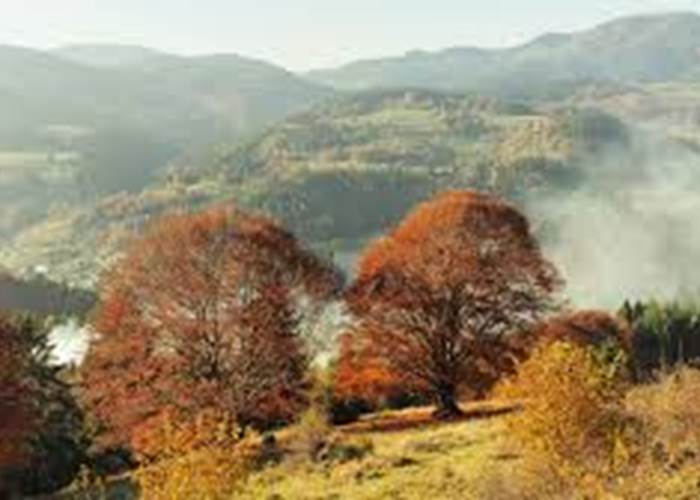 massif des vosges en automne